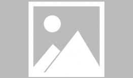 娱乐吃瓜酱北极熊,吃瓜酱视角下的极地风情