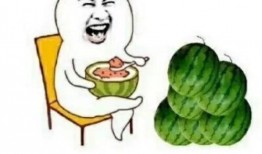 娱乐吃瓜用的音乐有哪些,轻松解锁八卦新姿势