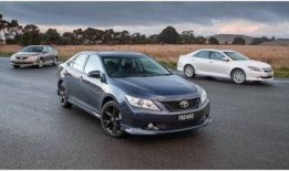 吃瓜娱乐圈camry,揭秘Camry的瓜田传奇