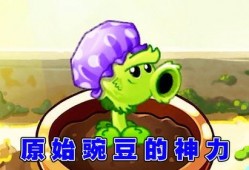 娱乐吃瓜酱豌豆射手,揭秘娱乐圈那些不为人知的幕后故事