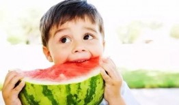 娱乐吃瓜酱考试