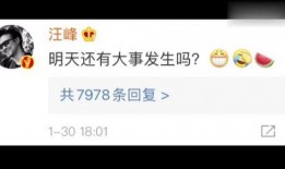 娱乐718吃瓜搜索,揭秘娱乐圈最新吃瓜热搜，带你领略明星幕后故事